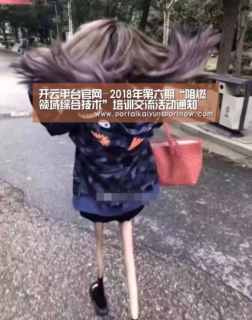 开云平台官网-2018年第六期“阻燃领域综合技术”培训交流活动通知(图2) 开云平台官网