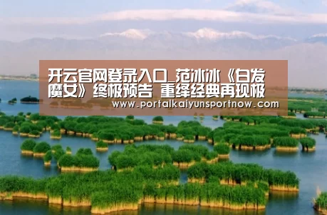 开云平台官网