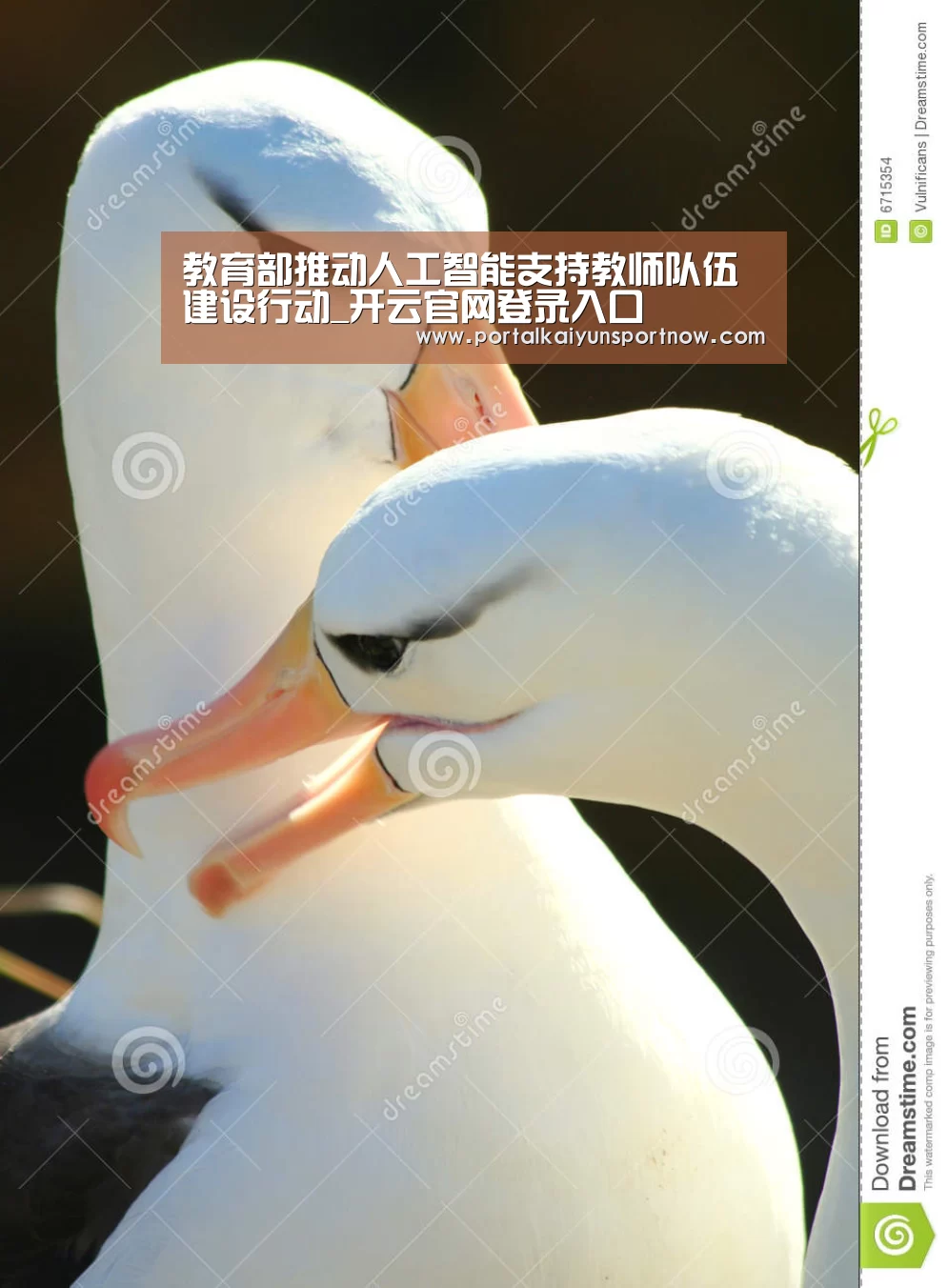 教育部推动人工智能支持教师队伍建设行动_开云官网登录入口(图2)