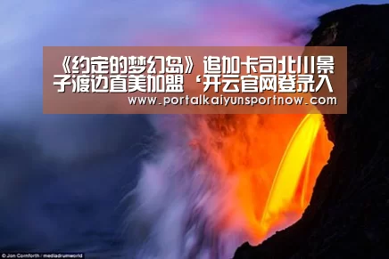 开云官方登录