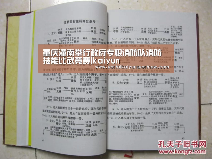 开云官网登录入口