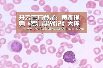 开云官方登录