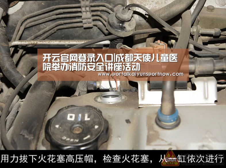 开云官网登录入口