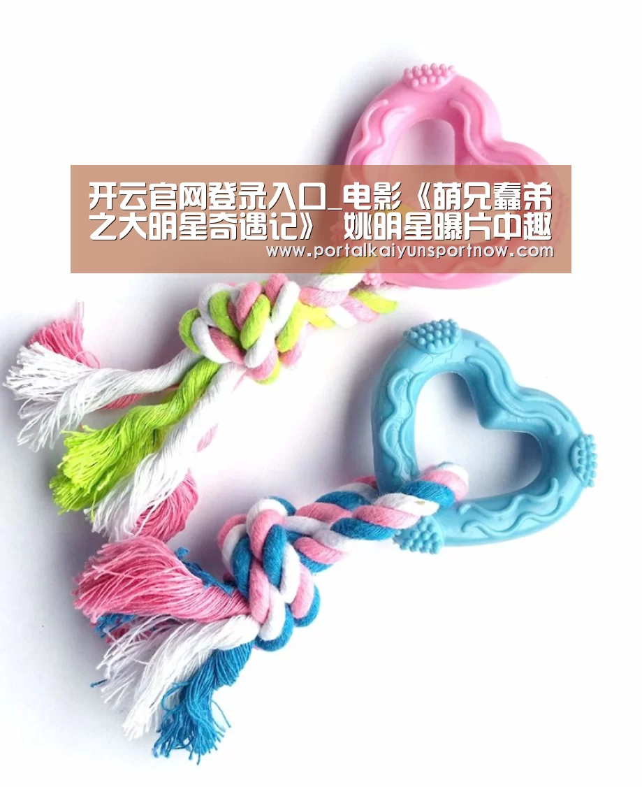 开云官网登录入口
