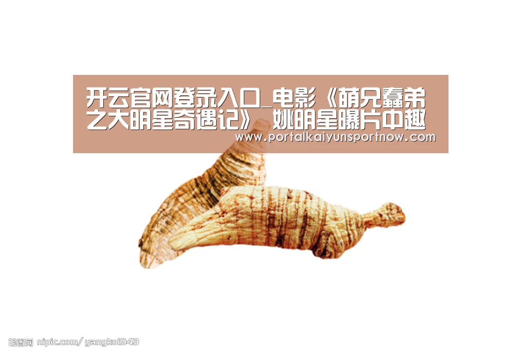 开云官网登录入口