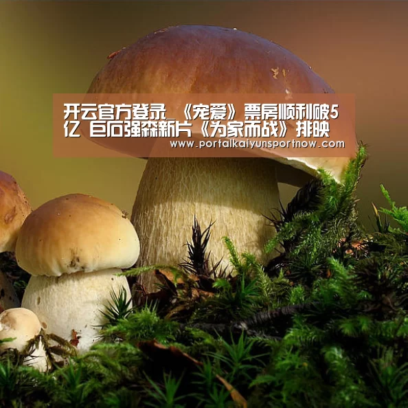 开云官方登录